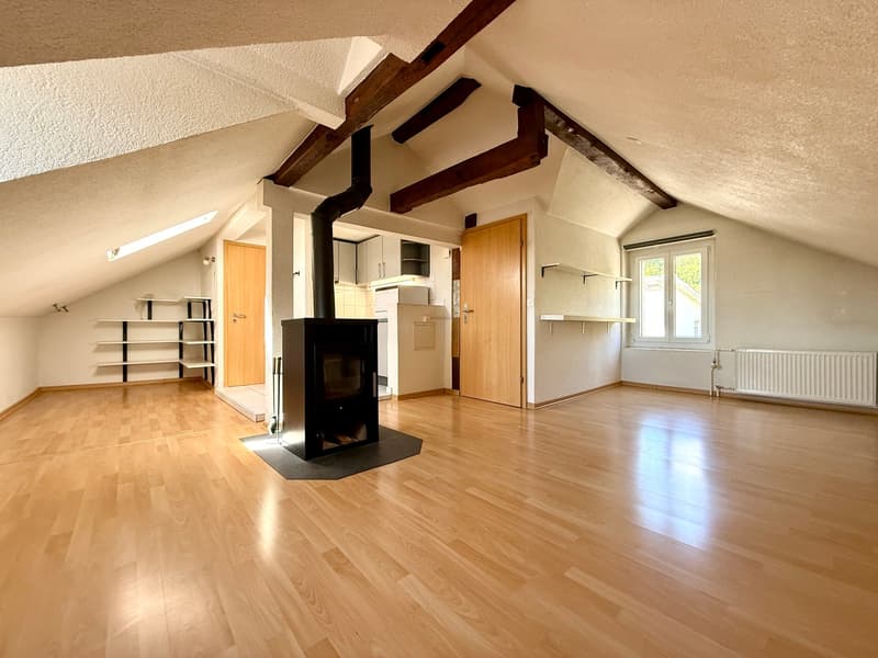 1-Zimmerwohnung im Dachgeschoss (4)