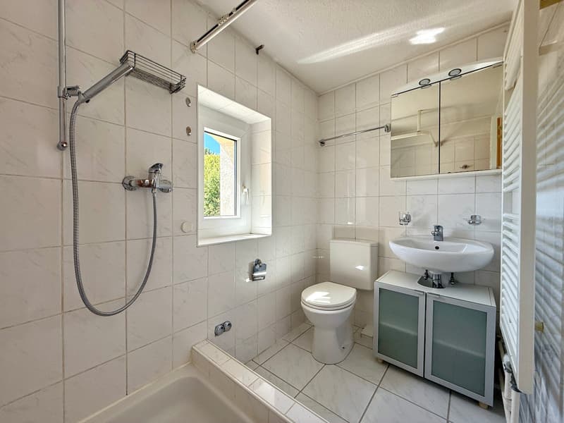 1-Zimmerwohnung im Dachgeschoss (6)