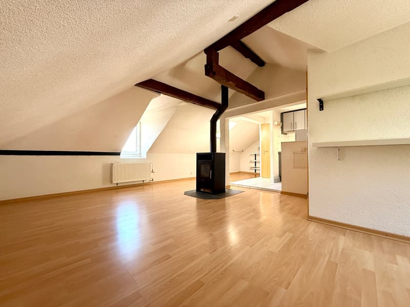 1-Zimmerwohnung im Dachgeschoss (3)