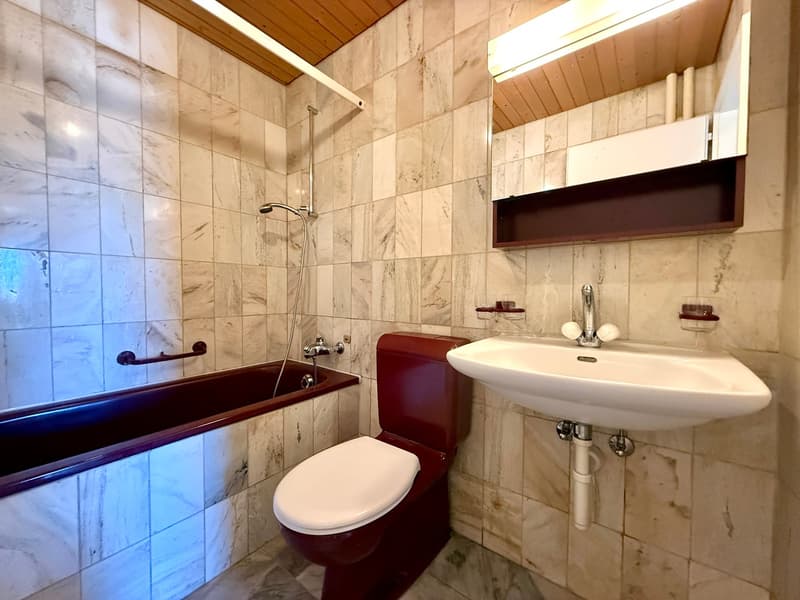 Helle 4.5-Zimmer-Wohnung und traumhafter Aussicht in Grenchen (7)