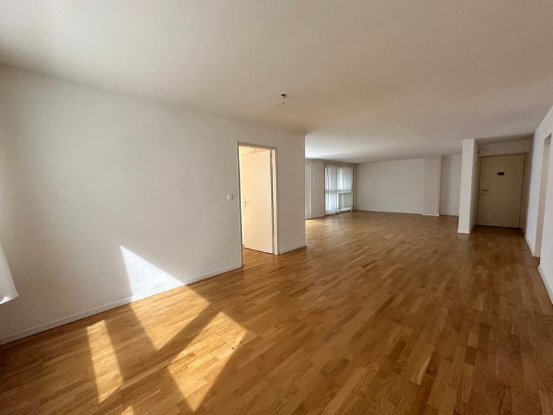 Moderne 2.5 Zimmerwohnungen an zentraler Lage (2)