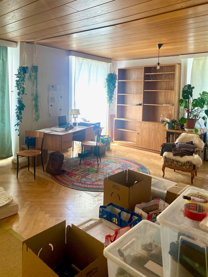 Helle 4-Zimmerwohnung an ruhiger Lage in Biel (2)