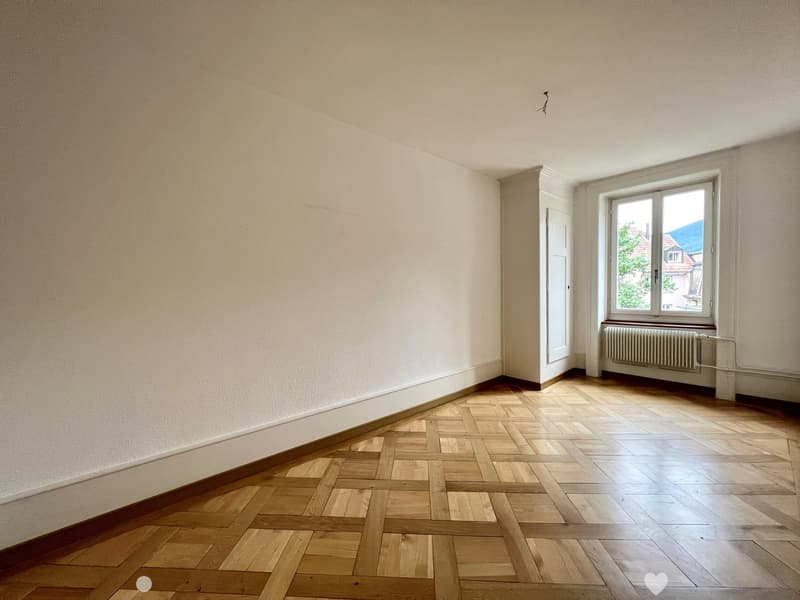 Renovierte und grosszügige Altbauwohnung (3)