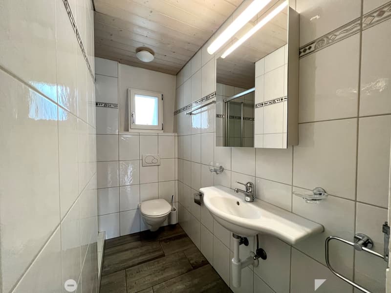 Renovierte und grosszügige Altbauwohnung (6)