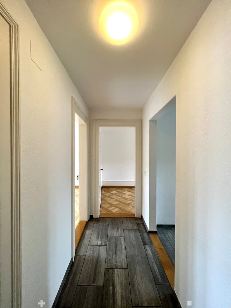 Renovierte und grosszügige Altbauwohnung (5)
