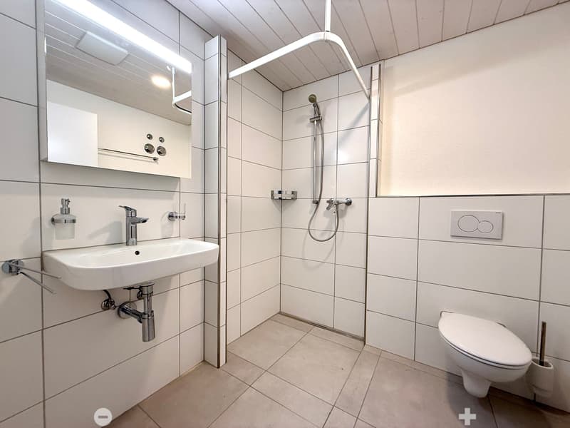 Exklusive Attika Loftwohnung mit Panoramablick (5)
