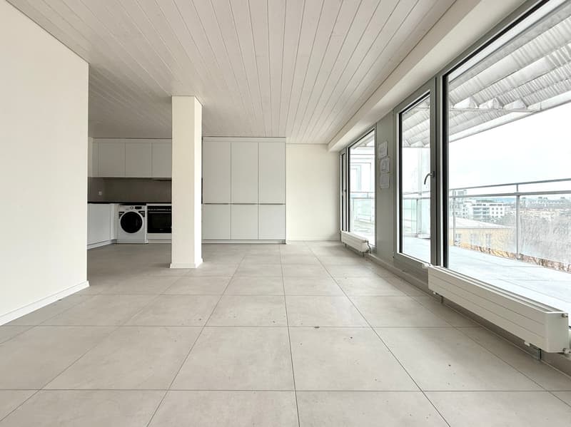 Exklusive Attika Loftwohnung mit Panoramablick (11)