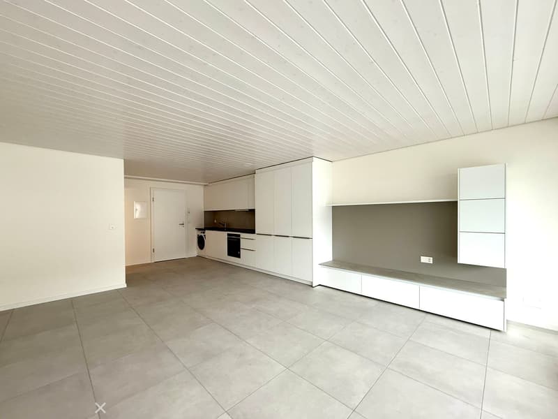 Exklusive Attika Loftwohnung mit Panoramablick (4)