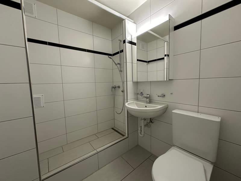 Wohnen in familiärem Quartier (8)