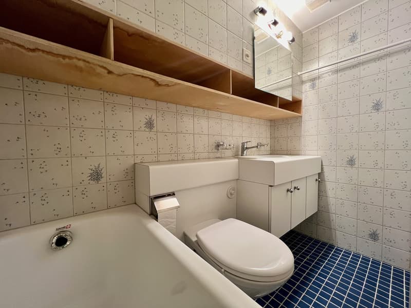 Studio in Lüscherz: Wohnen, wo andere Urlaub machen (6)