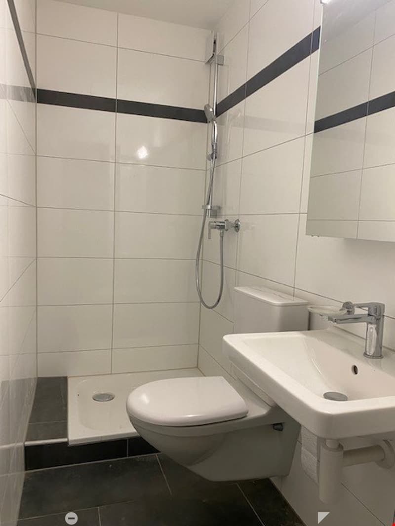 grosszügige 3.5-Zimmerwohnung im Stadtzentrum (4)