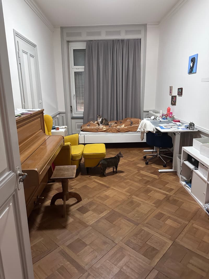 Stillvolle 5.5-Zimmer-Altbauwohnung im Herzen von Biel - direkt bei der Einkaufsmeile (12)