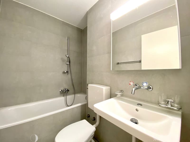 TOP-sanierte 3 1/2-Zwg mit Balkon im Mühlefeldquartier (4)