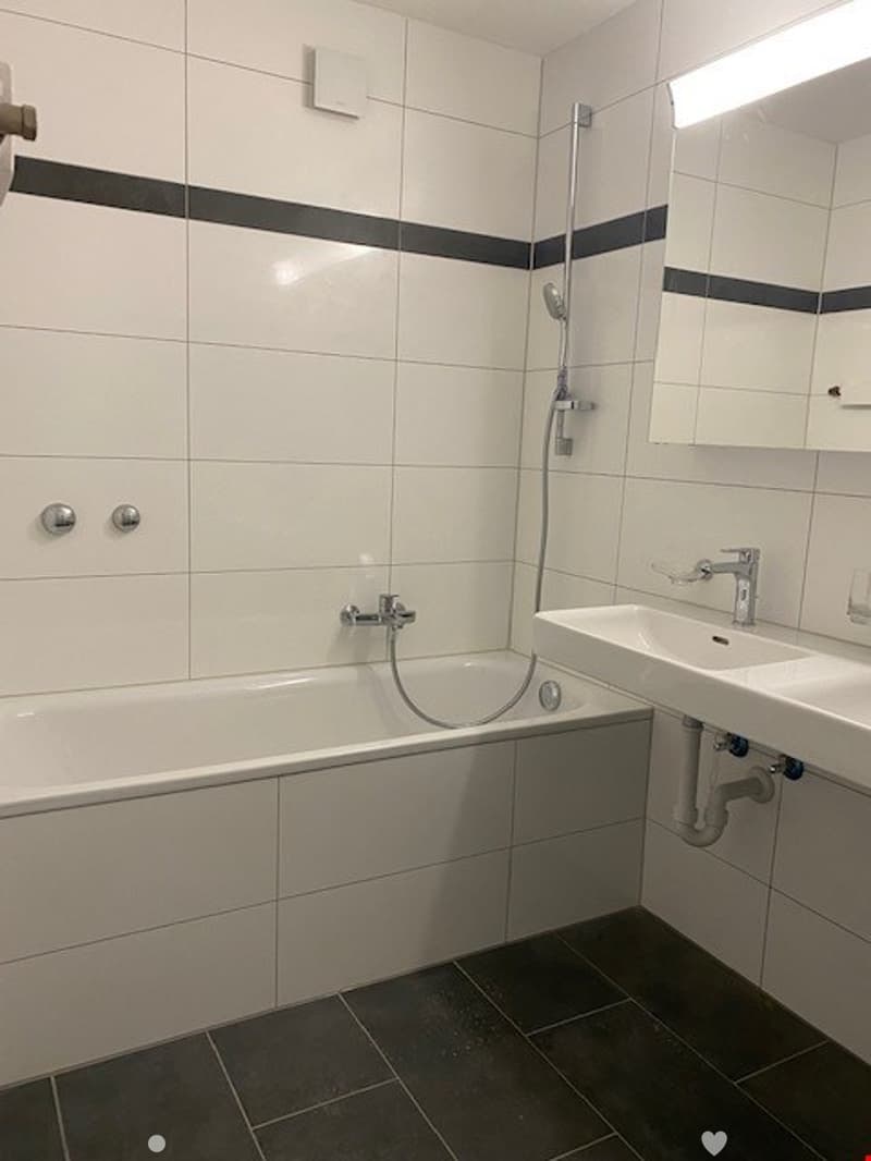 grosszügige 3.5-Zimmerwohnung im Stadtzentrum (3)