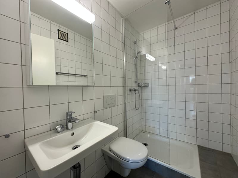 3.5 Zimmerwohnung mit Balkon (5)