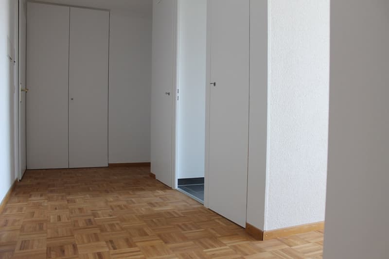 Hohlen Sie sich die ALPEN nach Hause - Grosse 4 1/2-Zwg mit Balkon (9)