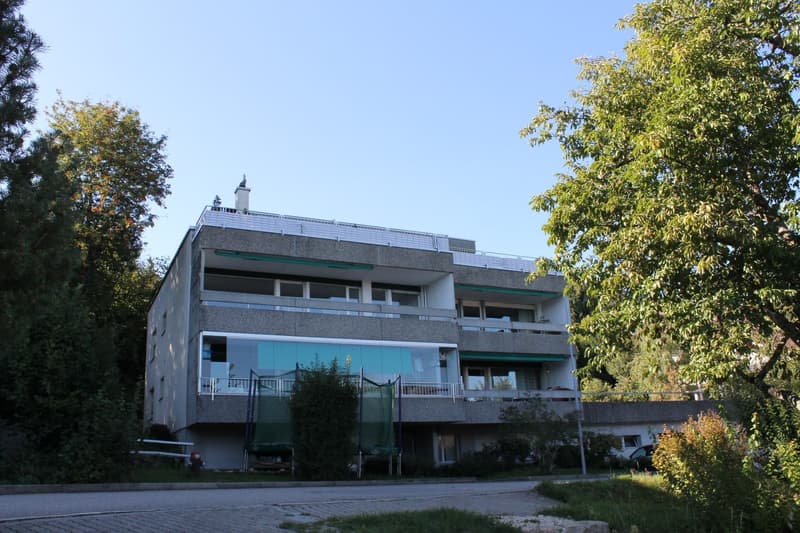 Hohlen Sie sich die ALPEN nach Hause - Grosse 4 1/2-Zwg mit Balkon (10)