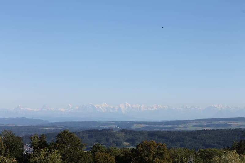 Hohlen Sie sich die ALPEN nach Hause - Grosse 4 1/2-Zwg mit Balkon (1)