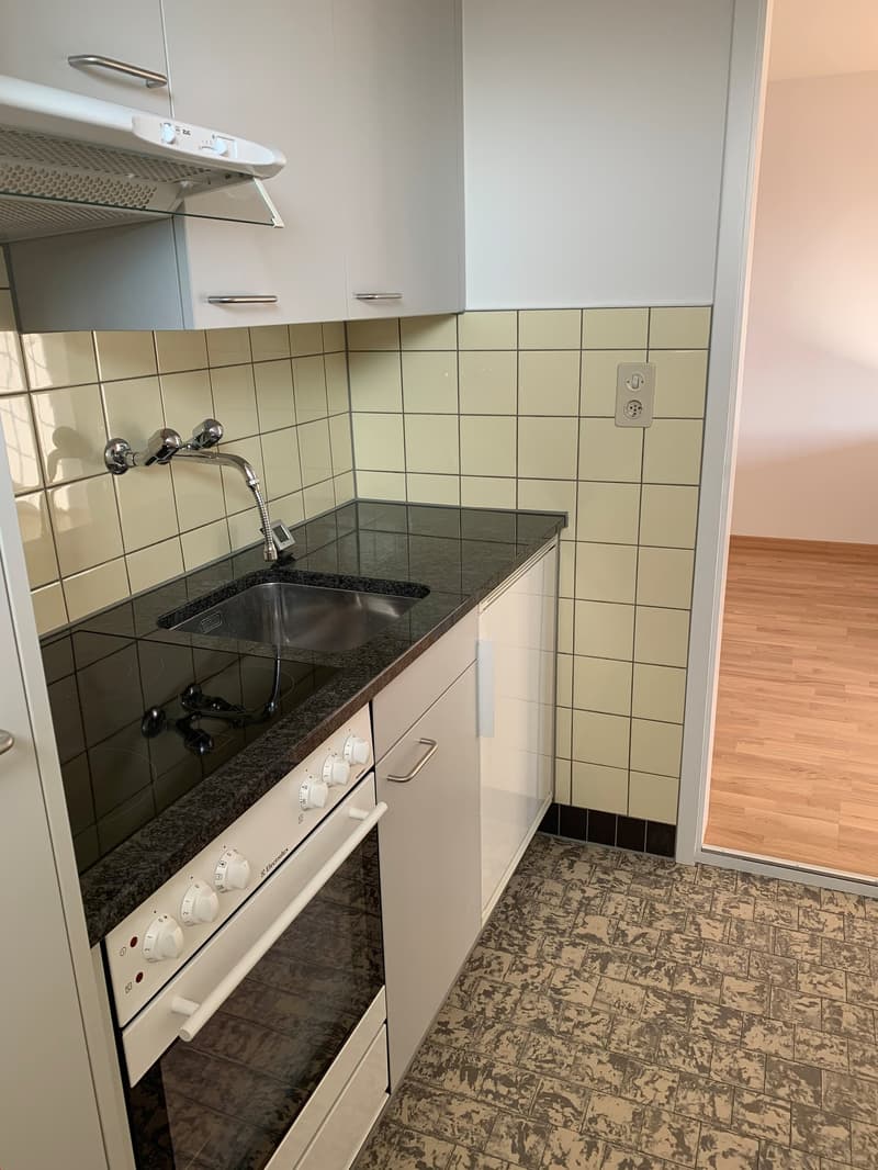 Wohnen im Stedtli Nidau grosszügige und helle 1.5 -Zimmerwohnung (8)