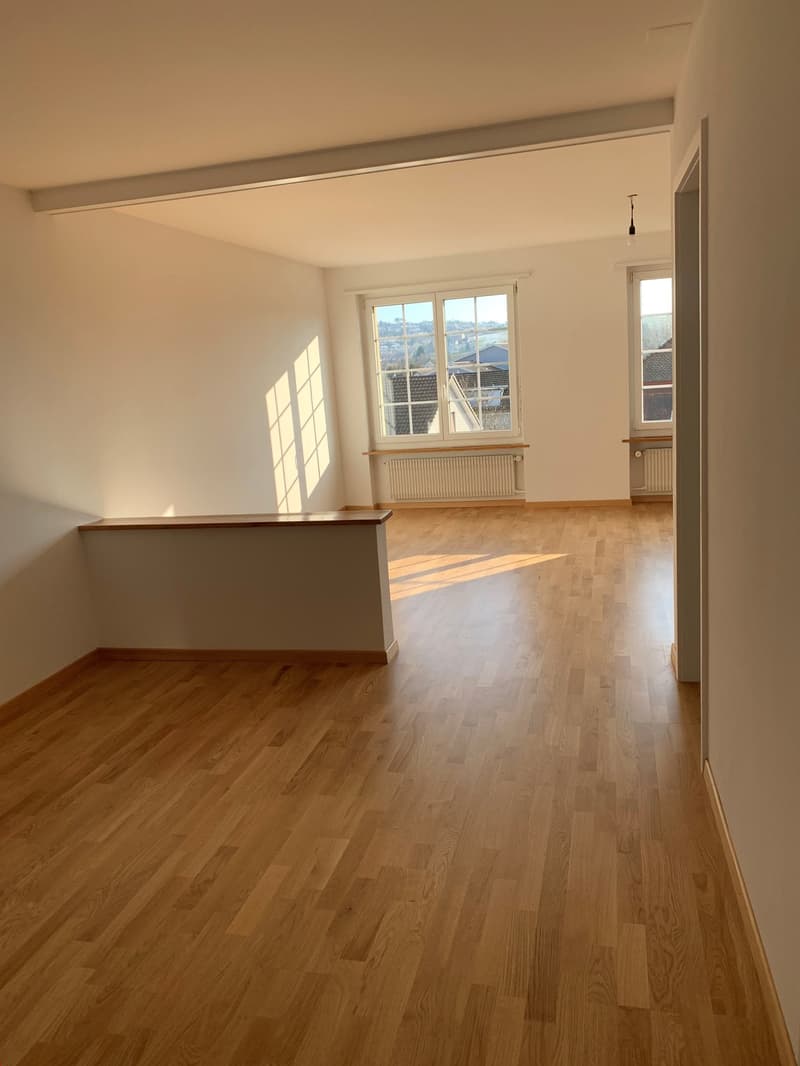Wohnen im Stedtli Nidau grosszügige und helle 1.5 -Zimmerwohnung (3)