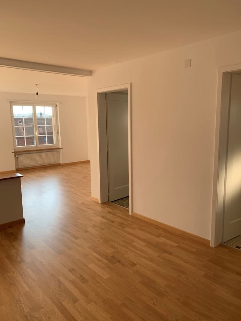 Wohnen im Stedtli Nidau grosszügige und helle 1.5 -Zimmerwohnung (5)