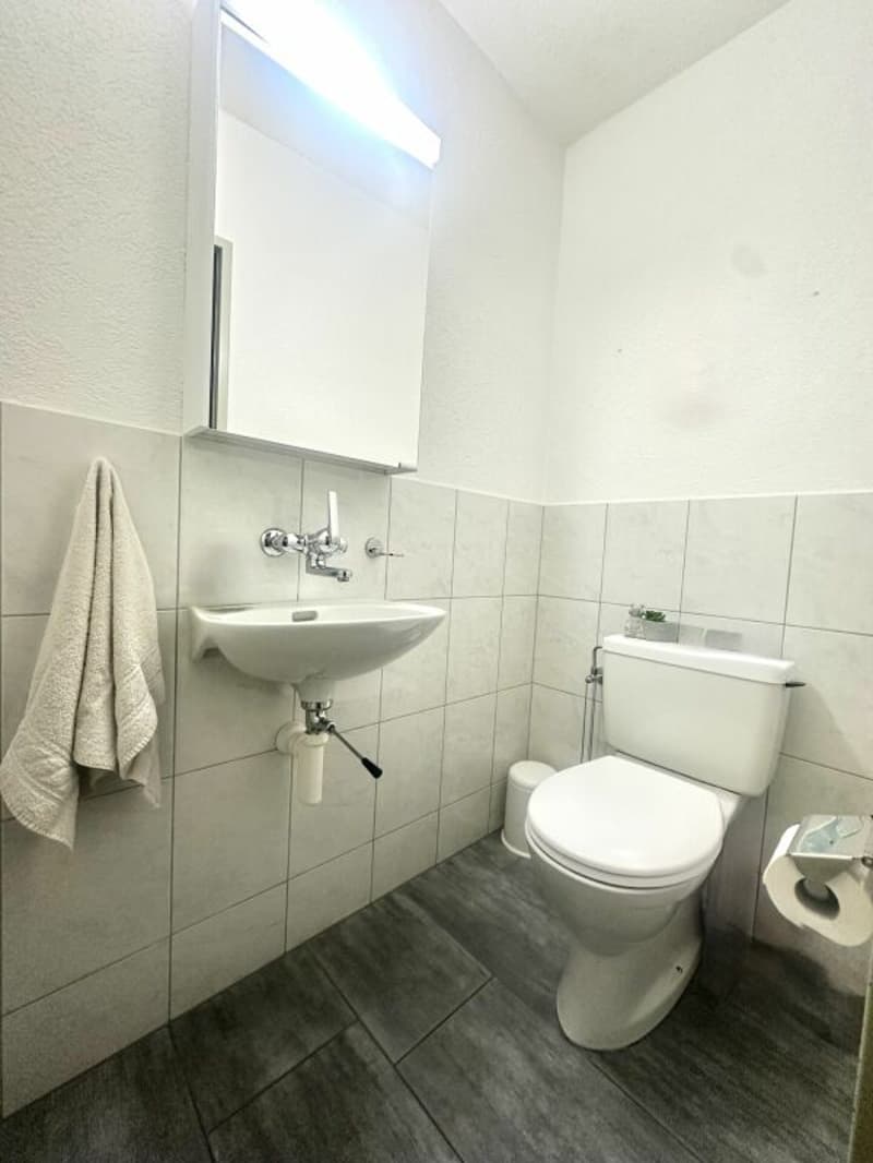 4.5 Zimmer Wohnung zum Wohlfühlen (15)