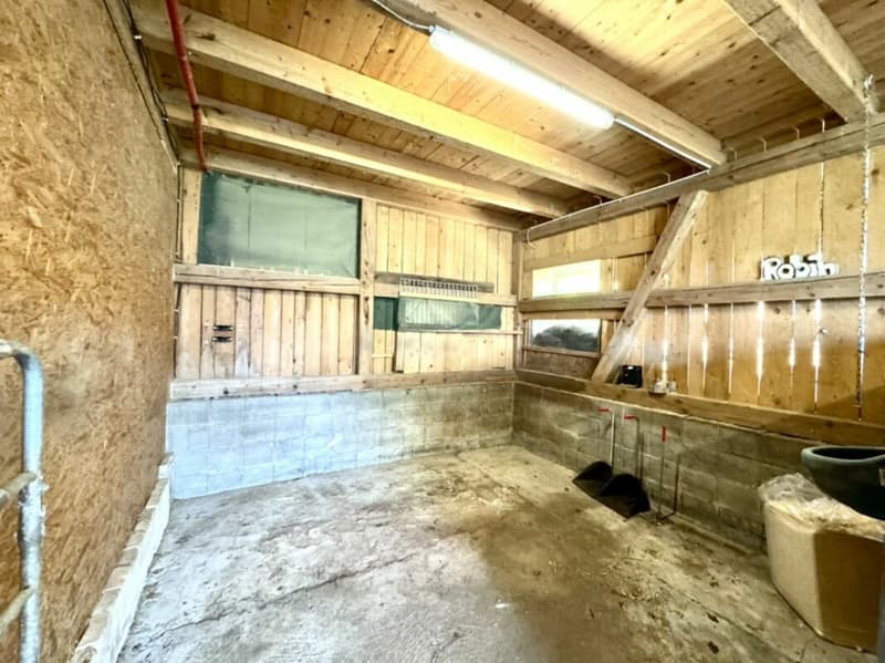 Grosses freistehendes 7.5-Zimmer-Bauernhaus für Pferdeliebhaber oder Kleintierhalter! Pferdeboxen, Remise, Wald und Wiesen .... (44)