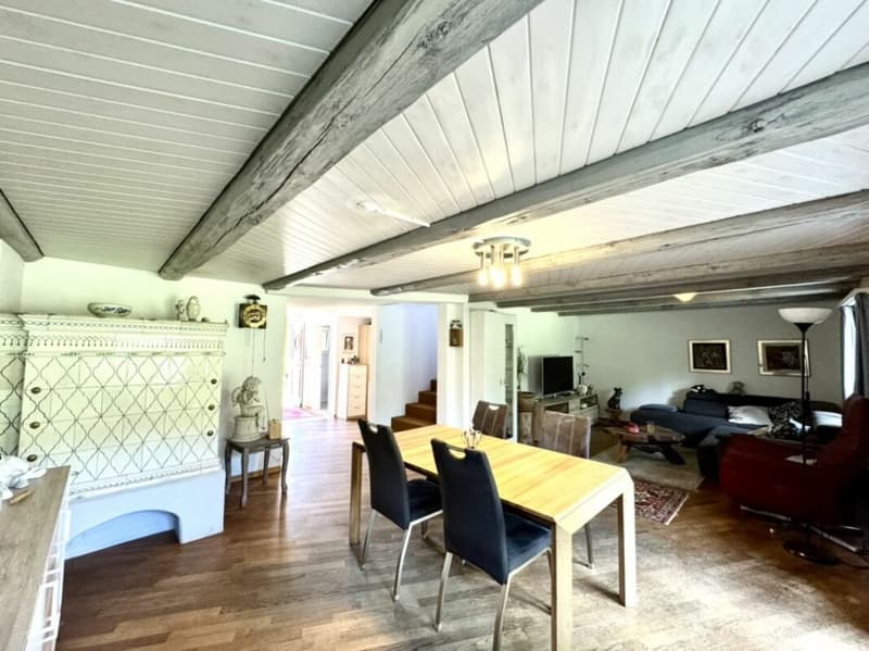 Grosses freistehendes 7.5-Zimmer-Bauernhaus für Pferdeliebhaber oder Kleintierhalter! Pferdeboxen, Remise, Wald und Wiesen .... (2)