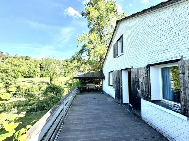 Grosses freistehendes 7.5-Zimmer-Bauernhaus für Pferdeliebhaber oder Kleintierhalter! Pferdeboxen, Remise, Wald und Wiesen .... (23)