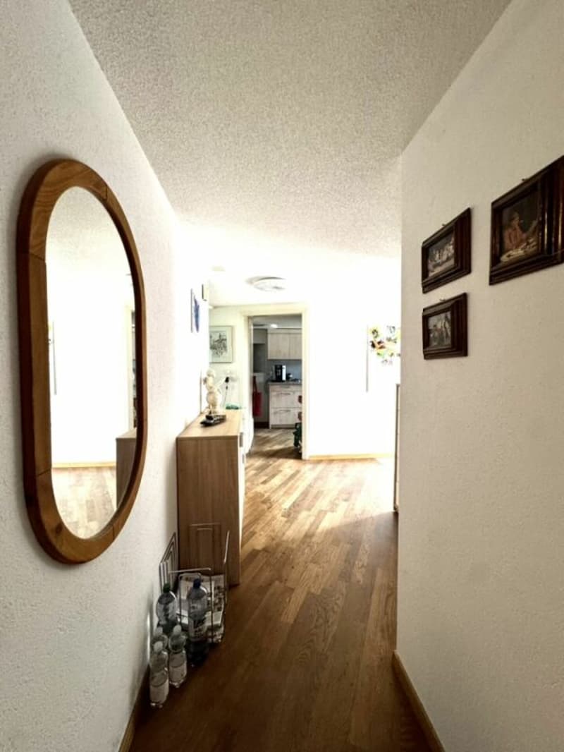 Grosses freistehendes 7.5-Zimmer-Bauernhaus für Pferdeliebhaber oder Kleintierhalter! Pferdeboxen, Remise, Wald und Wiesen .... (35)