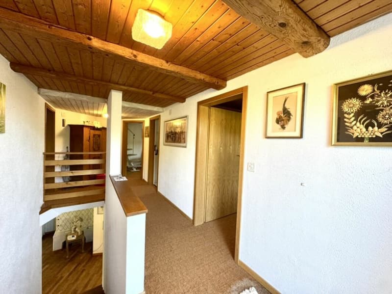 Grosses freistehendes 7.5-Zimmer-Bauernhaus für Pferdeliebhaber oder Kleintierhalter! Pferdeboxen, Remise, Wald und Wiesen .... (24)