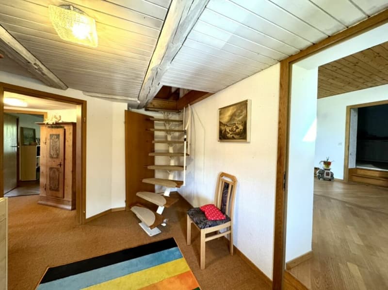 Grosses freistehendes 7.5-Zimmer-Bauernhaus für Pferdeliebhaber oder Kleintierhalter! Pferdeboxen, Remise, Wald und Wiesen .... (31)