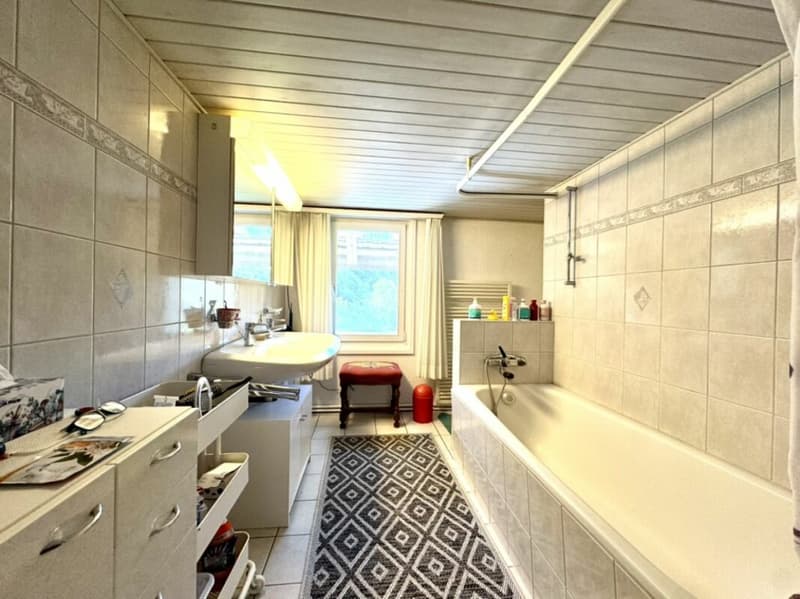 Grosses freistehendes 7.5-Zimmer-Bauernhaus für Pferdeliebhaber oder Kleintierhalter! Pferdeboxen, Remise, Wald und Wiesen .... (22)