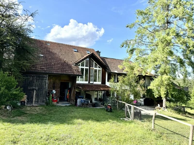 Grosses freistehendes 7.5-Zimmer-Bauernhaus für Pferdeliebhaber oder Kleintierhalter! Pferdeboxen, Remise, Wald und Wiesen .... (6)