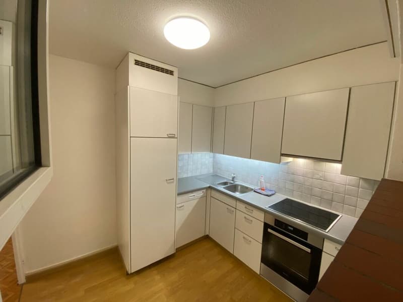 3.5 Zimmer Wohnung (6)