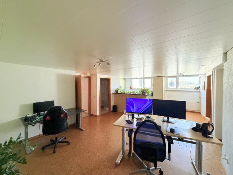 4.5-Zimmer-EFH mit 2.5-Zimmer-Einliegerwohnung an einer naturnahen Lage (19)