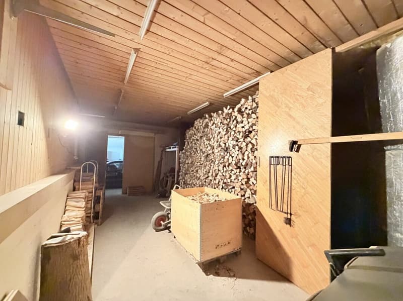 4.5-Zimmer-EFH mit 2.5-Zimmer-Einliegerwohnung an einer naturnahen Lage (24)