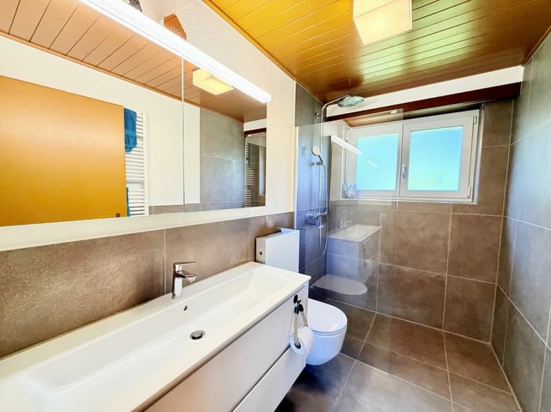 4.5-Zimmer-EFH mit 2.5-Zimmer-Einliegerwohnung an einer naturnahen Lage (10)