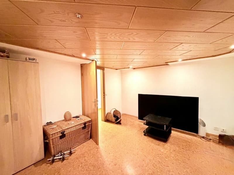 4.5-Zimmer-EFH mit 2.5-Zimmer-Einliegerwohnung an einer naturnahen Lage (21)
