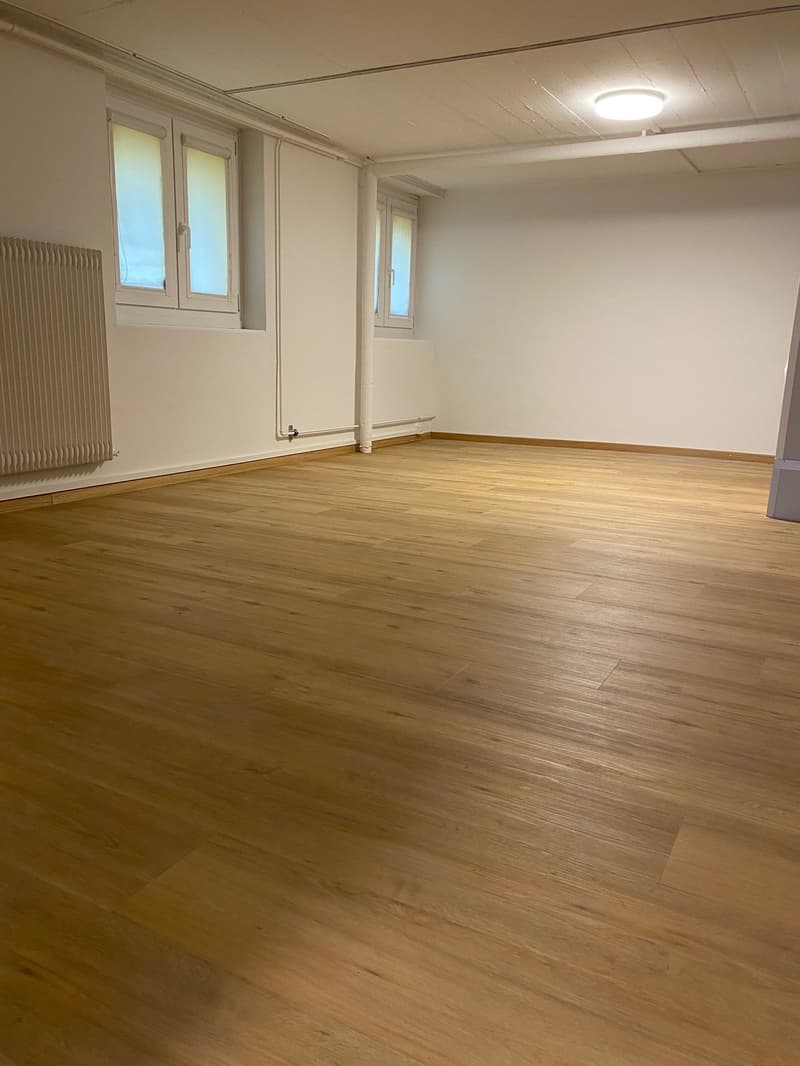 empty room, wooden floor, white walls, two windows, ceiling light