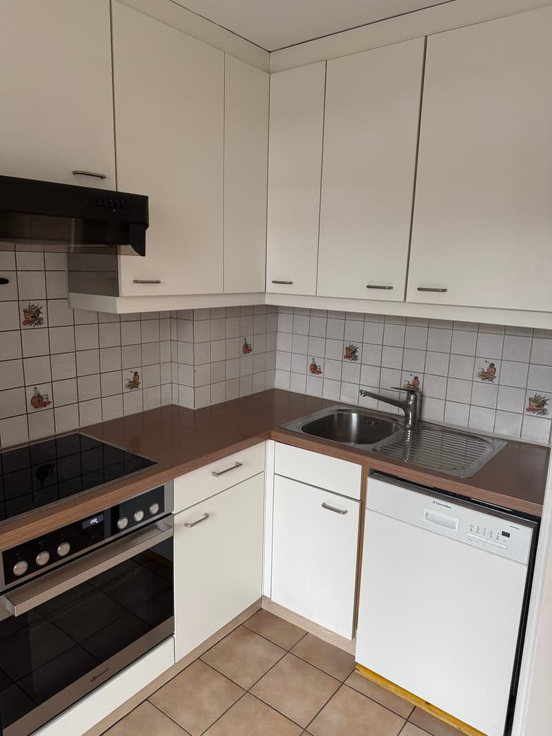 modern kitchen with white cabinets, tiled backsplash, stainless steel sink, dishwasher, induction stove, oven, wooden countertops