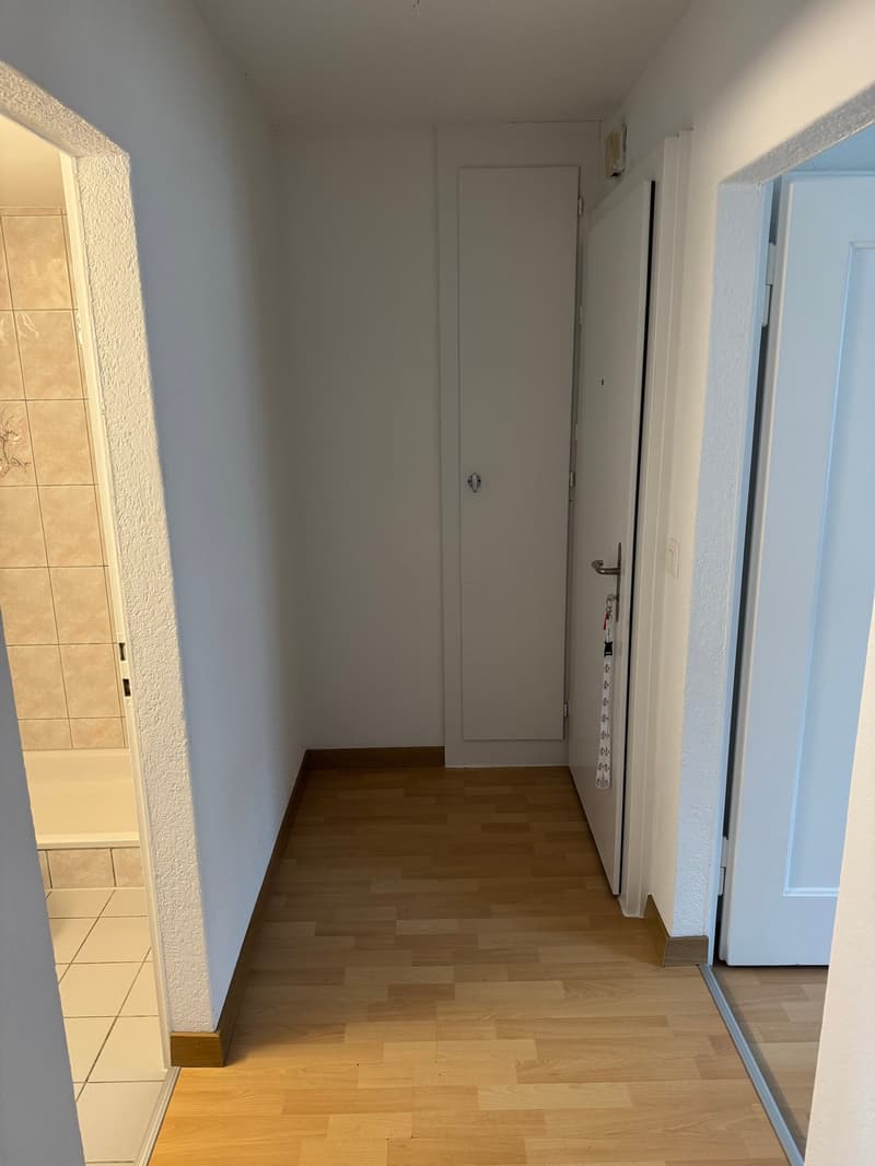 Empty hallway with wooden floor, white walls, and doors.