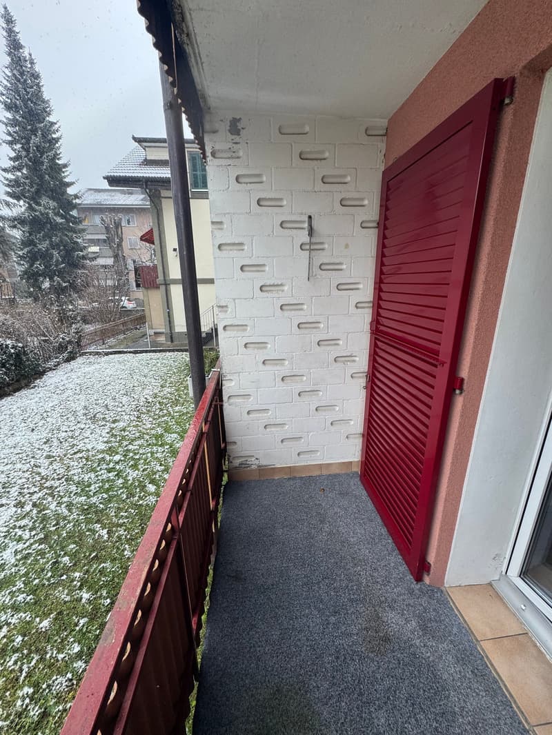Balcony with red railings, red shutters, and a carpeted floor
