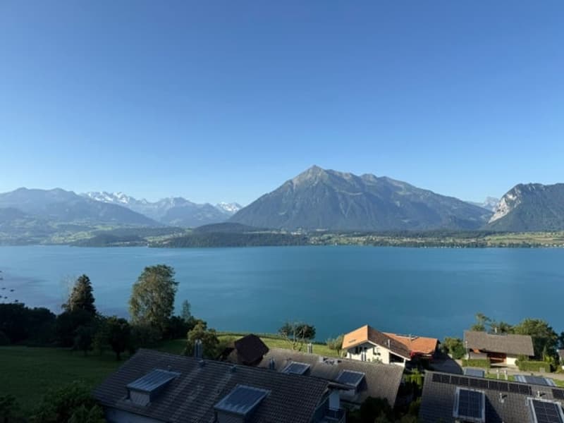Traumaussicht auf den Thunersee: Grosszügige 2.5-Zimmer-Erdgeschosswohnung in Oberhofen (4)