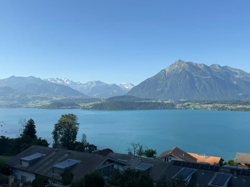 Traumaussicht auf den Thunersee: Grosszügige 2.5-Zimmer-Erdgeschosswohnung in Oberhofen (2)