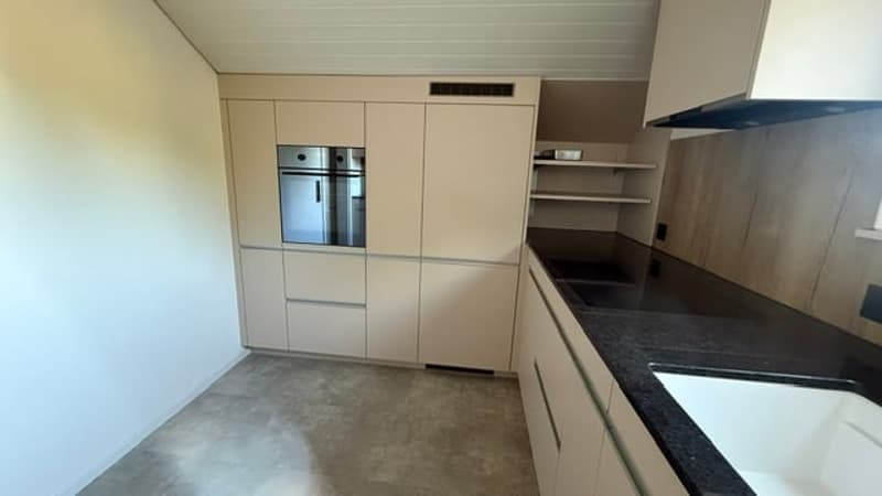 Charmante 4-Zimmer-Dachwohnung mit traumhaftem See- und Bergblick in Oberhofen am Thunersee (7)