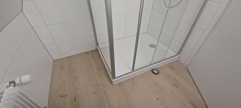 Gemütliche 3-Zimmer-Altbauwohnung in Thun – möbliert und sofort bezugsbereit (8)