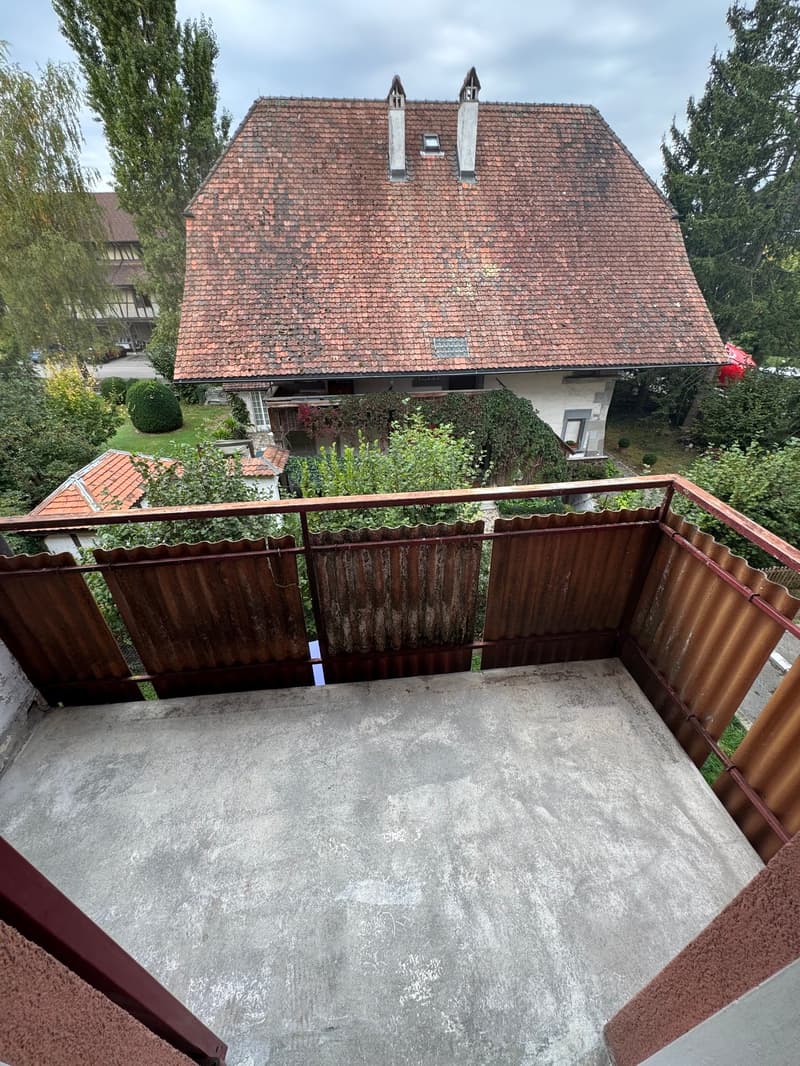 Helle, charmante 4-Zimmer-Wohnung an ruhiger Lage (8)