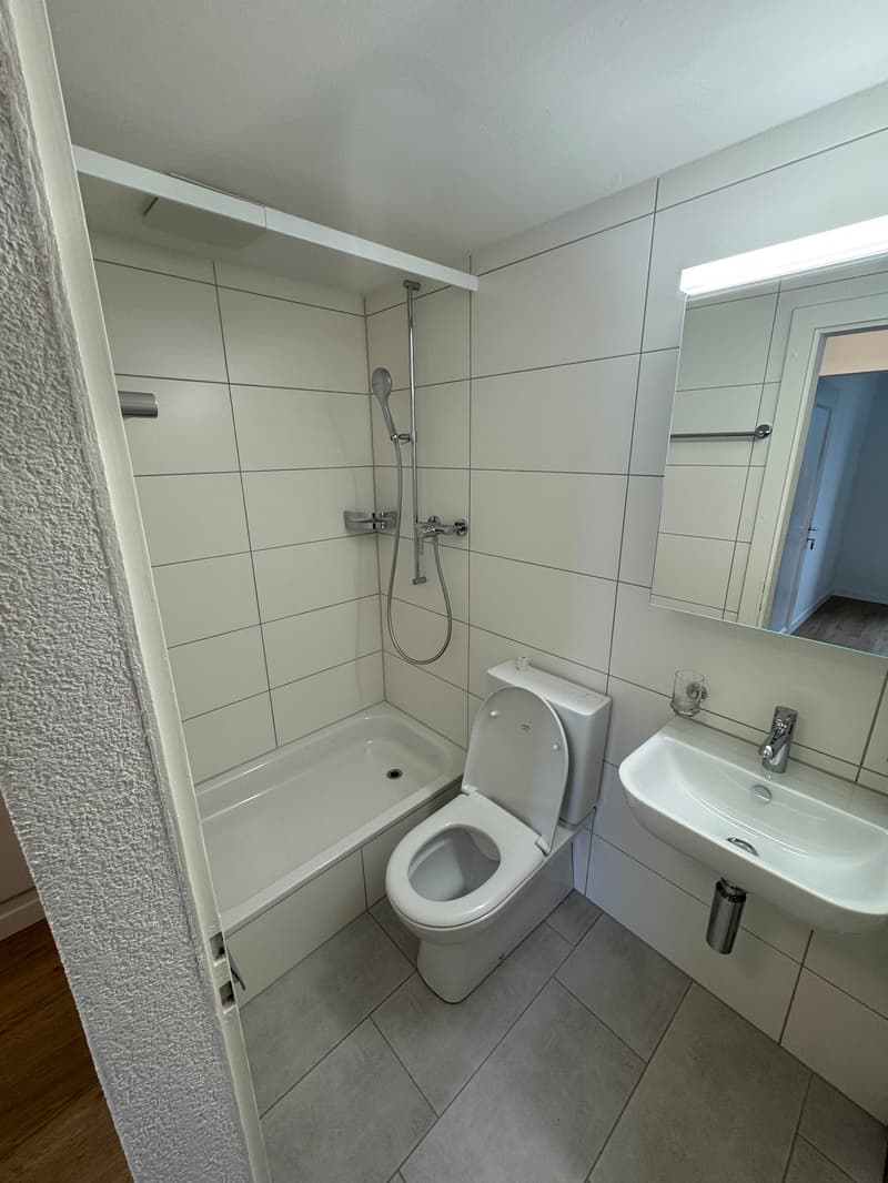 Helle, charmante 4-Zimmer-Wohnung an ruhiger Lage (3)