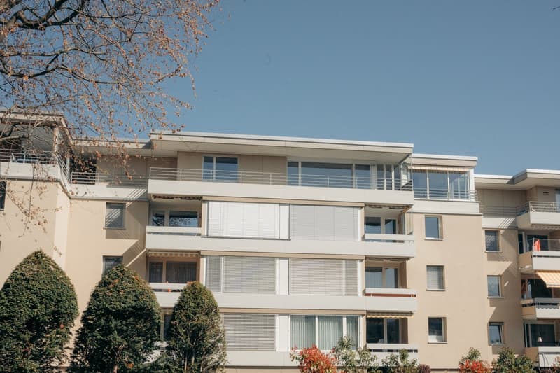 Charmante 4.5-Zimmer-Attikawohnung mit Bergpanorama in Thun (2)